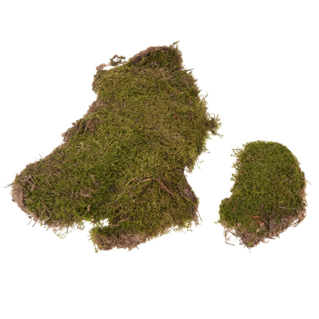 FLAT MOSS NATURAL 100GR