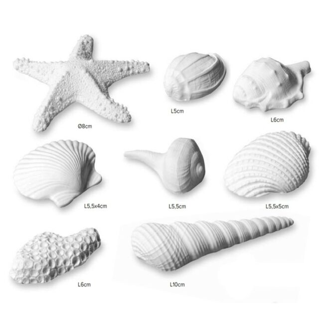 DECORATIVE WHITE SHELLS 8 PCS