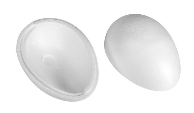 STYROFOAM EGG TWO PARTS - Image 3