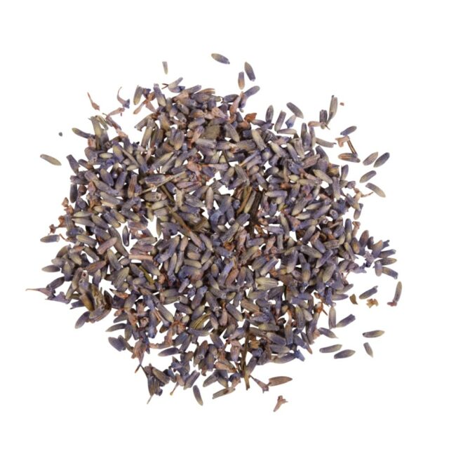 BLOSSOMS LAVENDER 5G