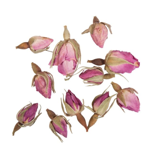 BLOSSOMS ROSEBUDS ENTIRELY PINK 7G