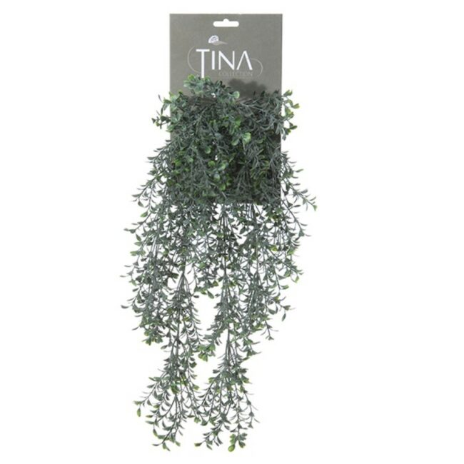 BOXWOOD VINE GREEN POWDER HEADER 50CM