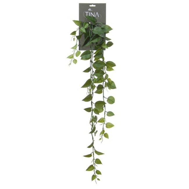 PHILODENDRON VINE GREEN HEADER 85CM