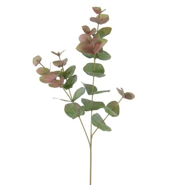 EUCALYPTUS GREEN/RED 75CM