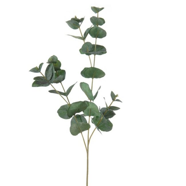 EUCALYPTUS GREEN 75CM
