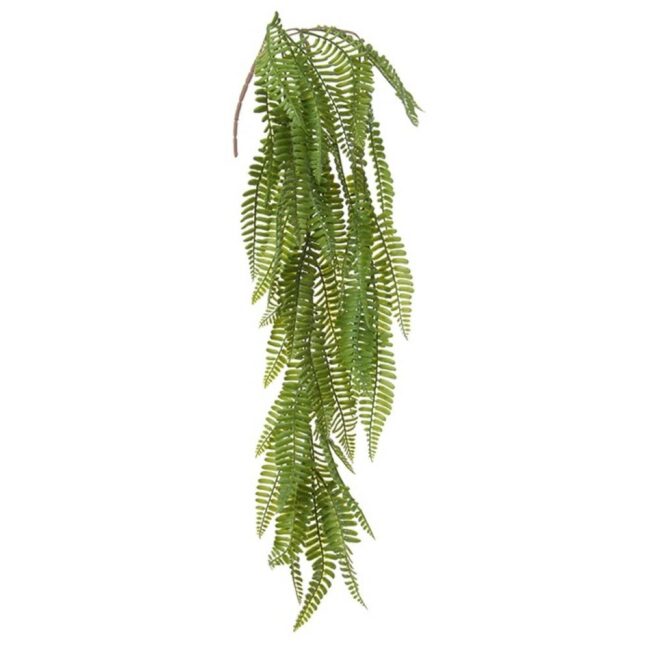 FERN VINE GREEN 70CM