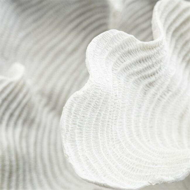 ARTIFICIAL CORAL COSCINA WHITE 51X27X26CM - Image 3