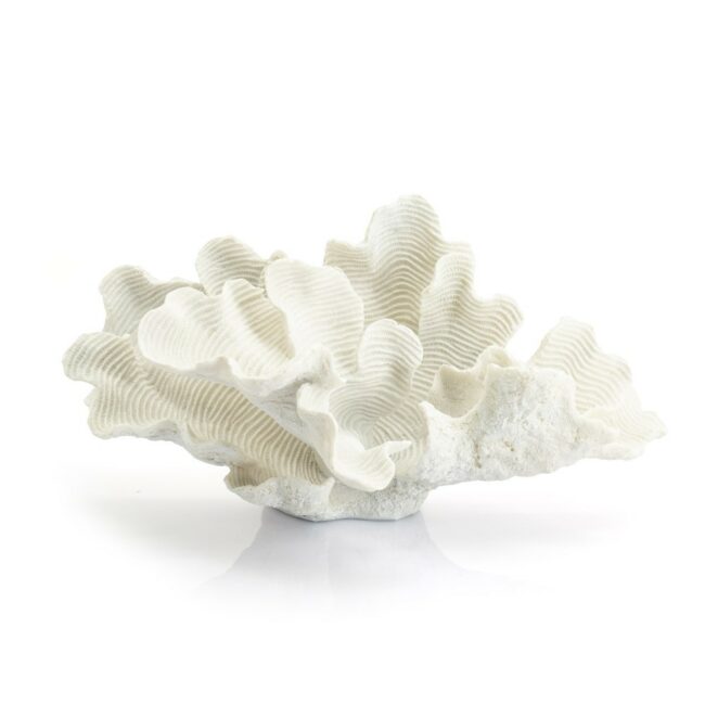 ARTIFICIAL CORAL COSCINA WHITE 51X27X26CM