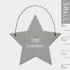 LITTLE STAR SIGN TOP TEACHER 3X6X0.1CM