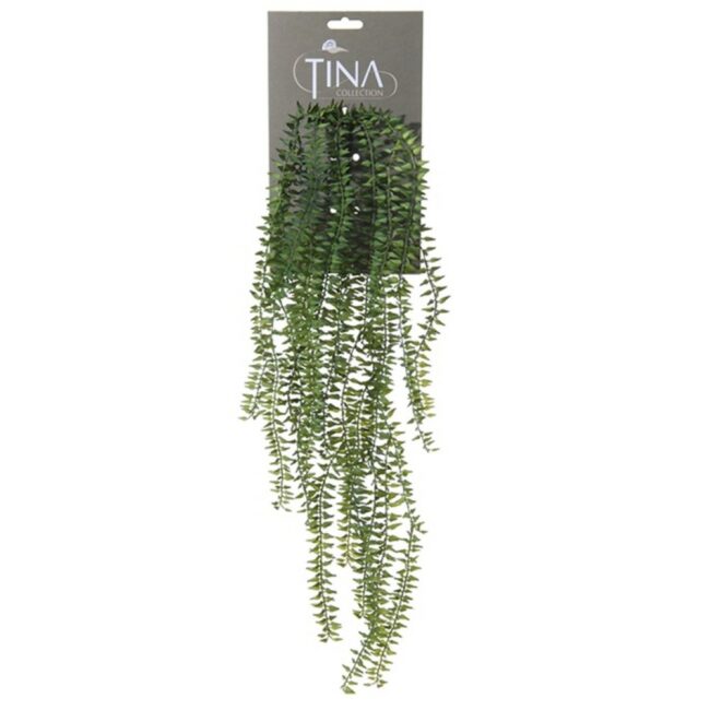 HUPERZIA VINE GREEN HEADER 60CM