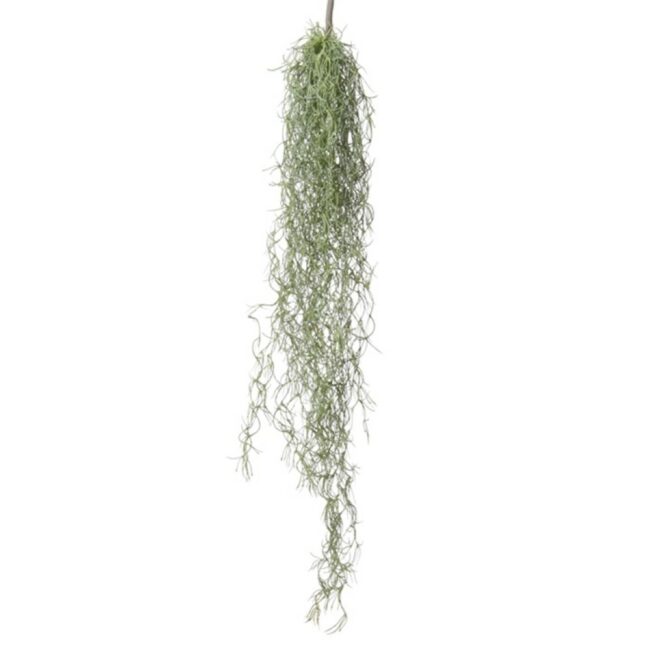 TILLANDSIA VINE GREEN/GREY HEADER 75CM