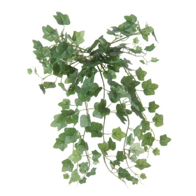 IVY VINE  GREEN HEADER 38CM