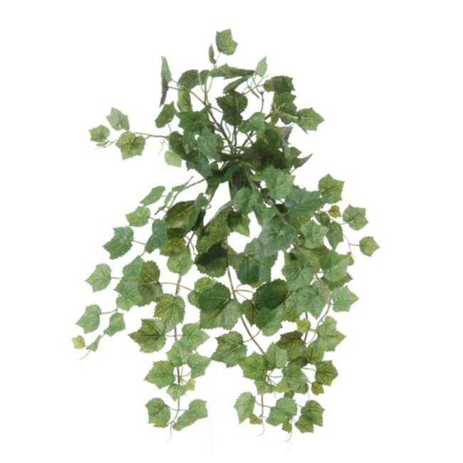 GRAPELEAF VINE GREEN HEADER 38CM