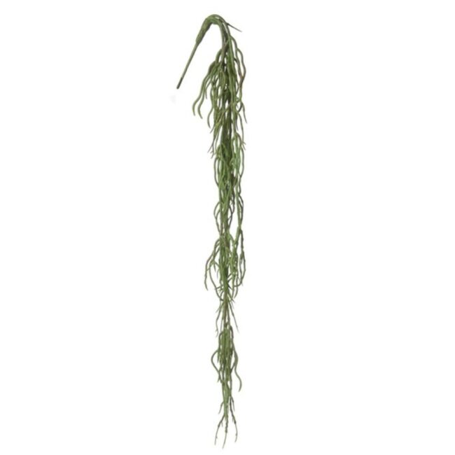ROOTS VINE GREEN HEADER 75CM