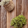 JAMBI HANGING BASKETS RAFFIA - Image 2