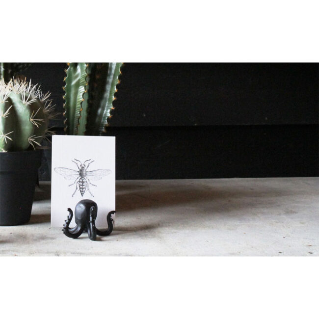 CARDHOLDER OCTOPUS BLACK 9X10X6CM - Image 4