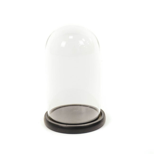 BELL JAR WITH WOODEN BASE BLACK 14X14X22CM