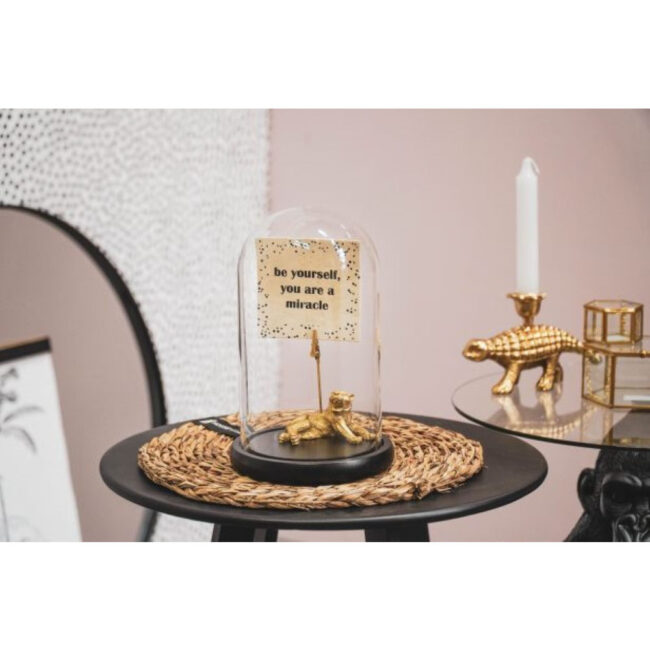 BELL JAR WITH WOODEN BASE BLACK 14X14X22CM - Image 4