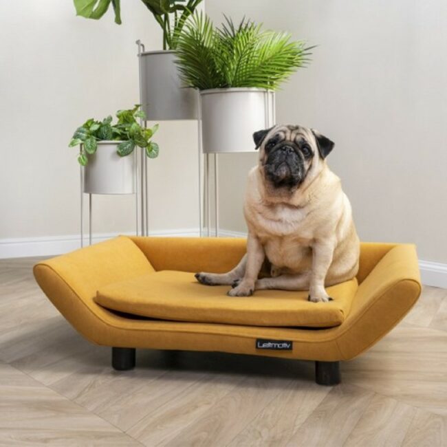 PET SOFA EXPLICIT SUEDE LOOK OCHRE YELLOW 72,5X53X21CM - Image 6