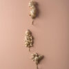 COAT HOOK MONKEY GOLD PAINTED 16X6,5CM - Image 3