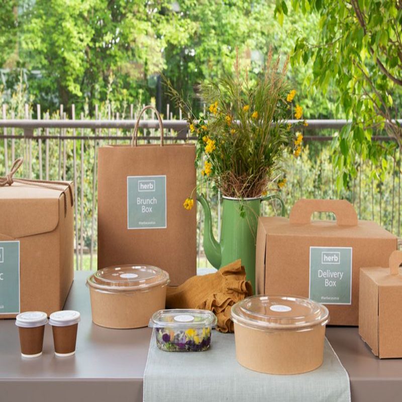 Food Delivery Boxes
