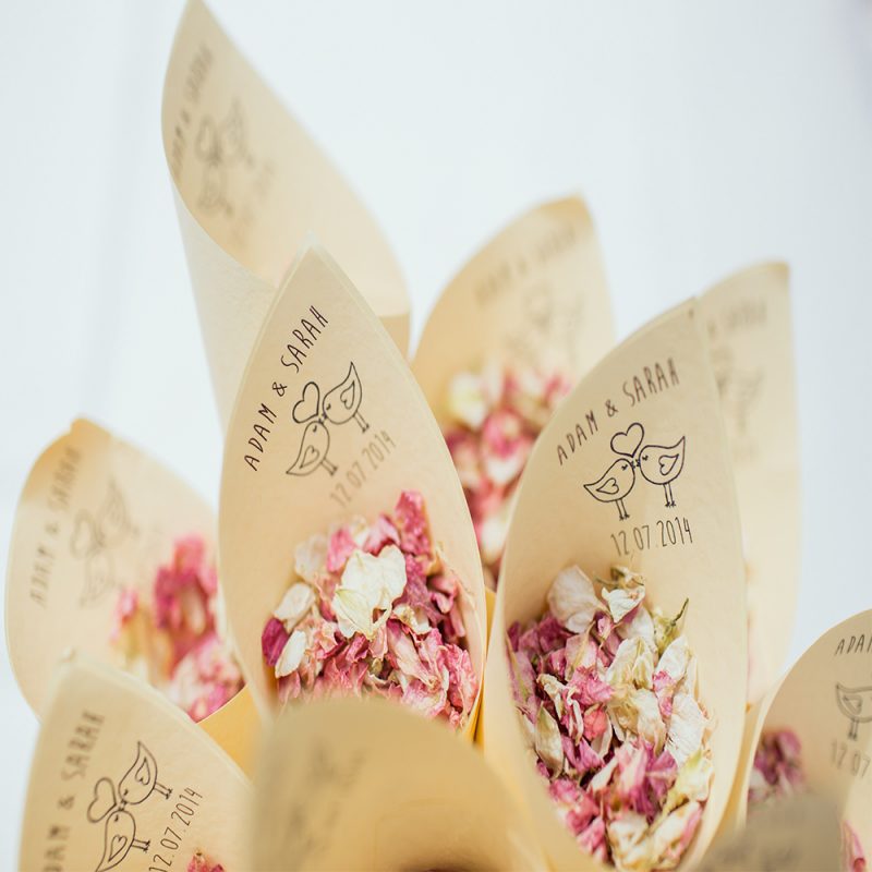 Paper Cones