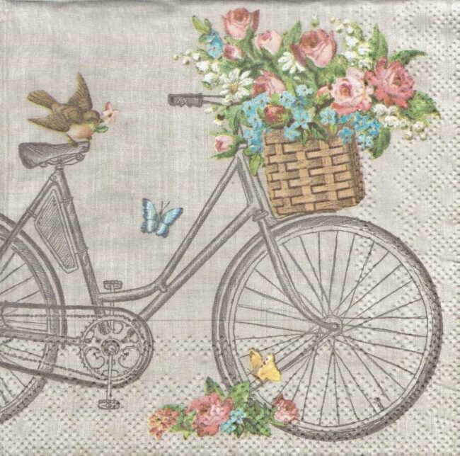 NAPKINS ROBIN ON BIKE 3PLY 33X33CM 20PCS