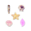 SEASHELLS CANDY MOLD - Image 2