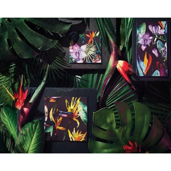 BEVERAGE NAPKINS 5'' BOLD TROPICS BIRD OF PARADISE 24PCS - Image 3