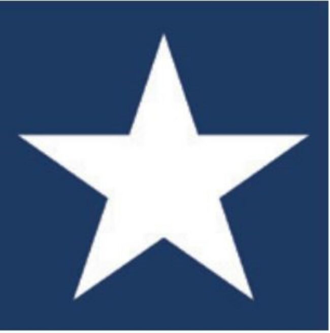 NAPKINS STAR DARK BLUE 3PLY 25X25CM 20PCS