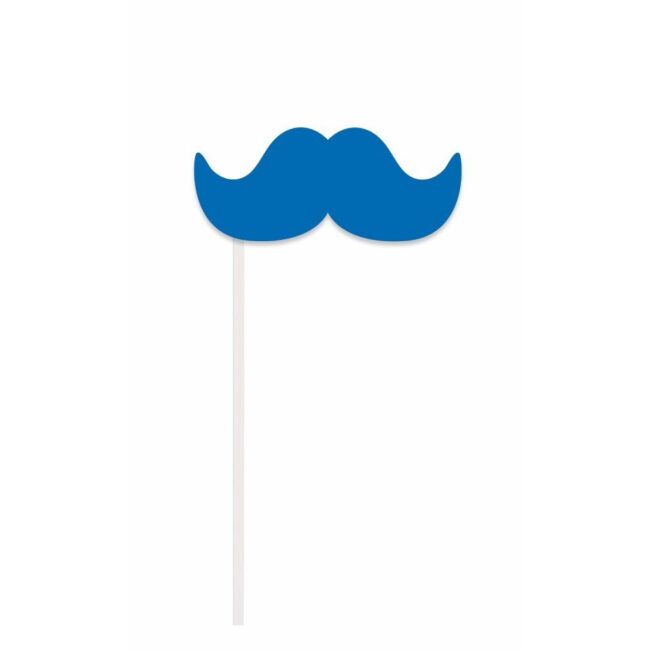 BIRTHDAY PHOTO PROPS - 10PCS - Image 9