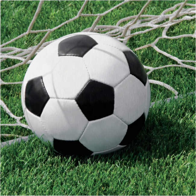 NAPKINS 6.5''x6.5'' FANATIC SOCCER 18PCS