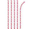 STRAWS PAPER STRIPE RED & WHITE