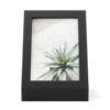 PODIUM PICTURE DISPLAY BLACK 14X18CM - Image 5