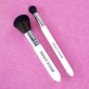 DELUXE DUSTING BRUSH - SET OF 2