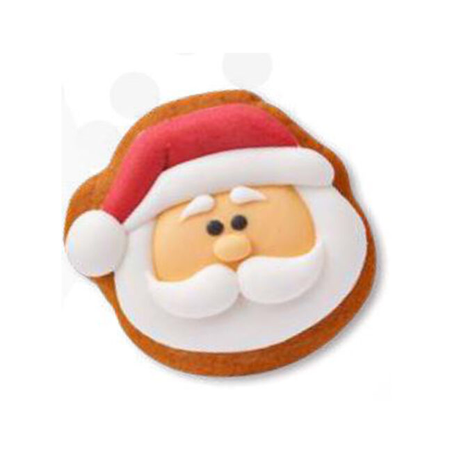 CHRISTMAS COOKIES ASSORTED 3.5-4.5X5CM - Image 2