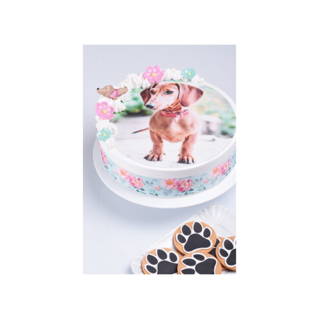 SUGAR JELLY DOGS FIGURES ASSORTED 1X1CM 35PCS - Image 7