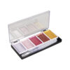 WATERCOLOUR PALE PINK 5 COLOURS INCLUDING H20 BRUSH 25x45MM - Image 2