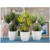 VASE & PLANT ASSORTED 12X36CM