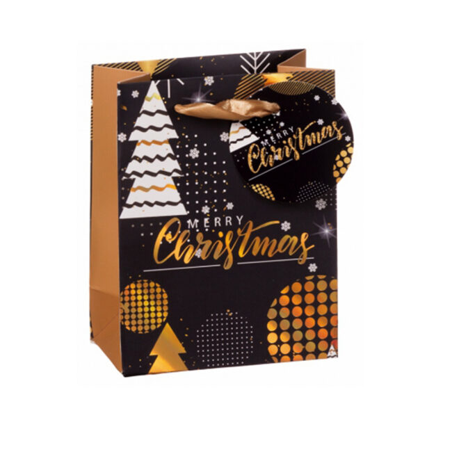 CHRISTMAS PAPER BAG ASSORTED 11.5X6.5X15CM