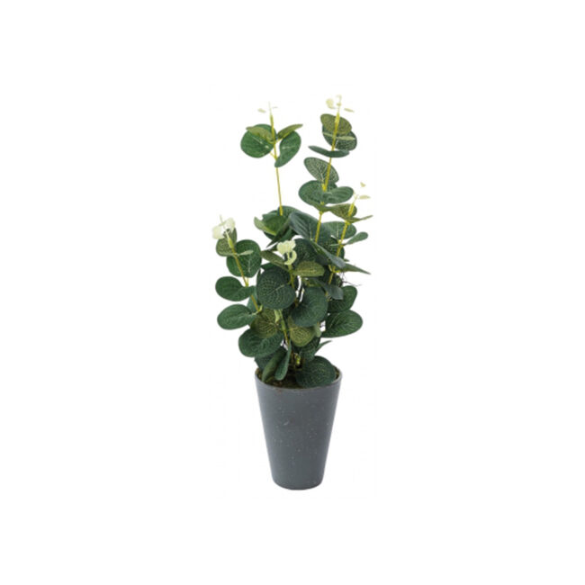 PLANT IN VASE 9X36CM