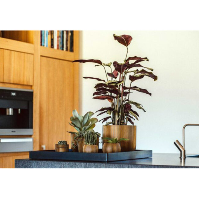 PLANTER BALL GROOVE BLACK - Image 6