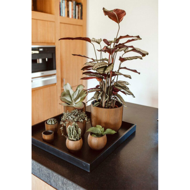 PLANTER BALL GROOVE BLACK - Image 7