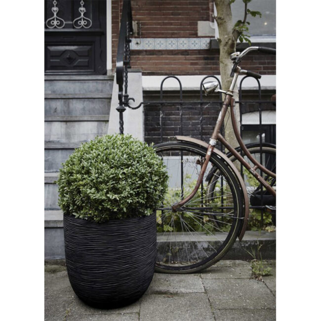 PLANTER BALL RIB NL IVORY - Image 8