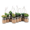 POT WITH HANGER ASSORTED 7X10CM