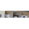 POLYSTYRENE PHOTOFRAME ''WEST'' ASSORTED 15X20CM - Image 2