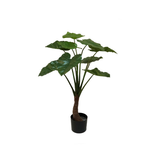 ALOCASIA TREE 90CM