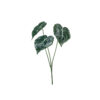 ANTHURIUM LEAVES SPRAY 62CM