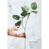MONKEY LEAVES SPRAY GREEN 75CM - Image 2