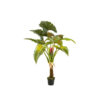 COLOCASIA TREE 160CM